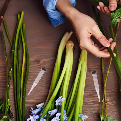 Miniatura 6 de 50 tubos de agua florales con púas de anclaje, tubo de nutrición de flores de plástico, tallos de flores, tubos de agua para flores frescas