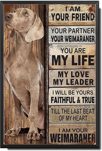 Miniatura 51 de Letrero de Metal Letrero de Hojalata Arte de Pared Vintage I Am Your Friend Regalo para Amantes de Schnauzer Arte de Pared Vintage Impresiones