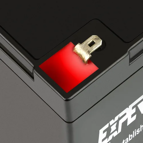 Miniatura 6 de ExpertPower Terminal F1 de batería de plomo sellada SLA de 6V 12Ah F1/reemplazo para Portalac GS PE6V13 (paquete de 2)