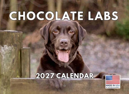 Miniatura 37 de Calendario de pared mensual 2025 Great Dane de 12 meses, fabricado en Estados Unidos