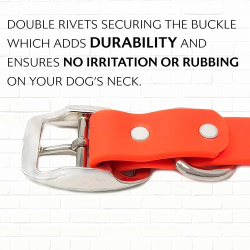 Miniatura 9 de Regal Dog Products Collar de Perro Naranja Mediano con Placa de Nombre Grabada Personalizada - Ajuste Personalizado, Resistente, Fácil de Limpiar