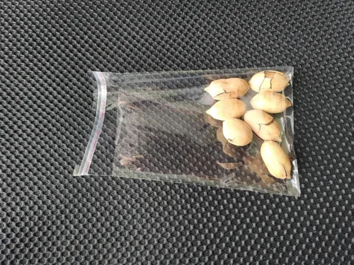 Miniatura 3 de Bolsa de celofán de 5 x 6.5 pulgadas, bolsas transparentes resellables de plástico autoadhesivas buenas para panadería, recuerdos, velas, jabón
