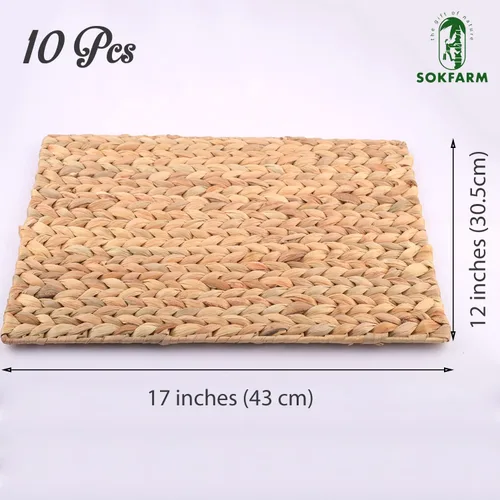 Miniatura 2 de Juego de 10 manteles individuales tejidos bohemios, individuales para mesa de comedor, manteles individuales de Pascua Farmhous Egreen, individuales