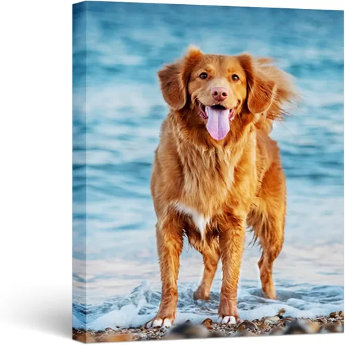 Miniatura 10 de WEGA Impresiones en lienzo personalizadas con tus fotos (6 pulgadas de ancho x 8 pulgadas de alto) lienzo personalizado para dormitorio, sala