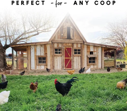 Miniatura 2 de Bebedero para aves de corral Harris Farms, doble pared, Plateado