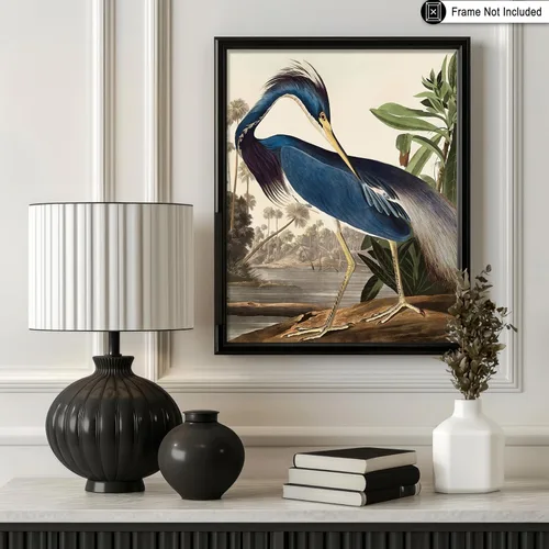 Miniatura 3 de Poster Master Póster vintage de James Audubon – Impresión de garza de Luisiana – Arte de aves de América – Arte de aves – Regalo para hombres