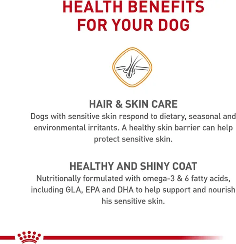Miniatura 3 de Royal Canin Canine Care Nutrition Small Alimento Seco para Perros Adultos para el Cuidado de la Piel Sensible, Bolsa de 3 libras