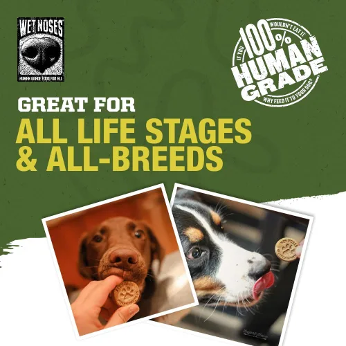 Miniatura 23 de Wet Noses Golosinas orgánicas crujientes para perros sin granos, totalmente naturales, de grado humano, sin OMG, entrenamiento saludable