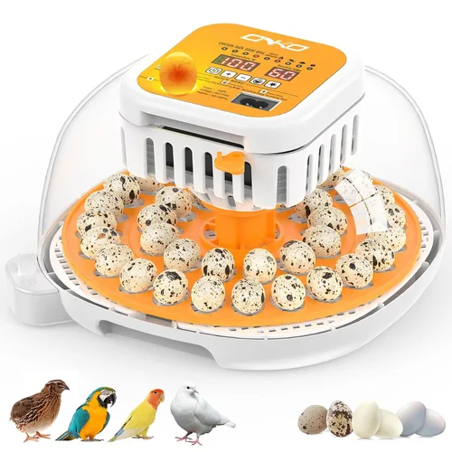 36 incubadoras de codorniz para incubar huevos, incubadora de huevos de codorniz con giro automático de huevos y control de humedad, control de