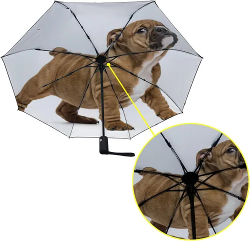 Miniatura 3 de Paraguas de viaje resistente al viento, anti-UV, cierre automático, para lluvia y sol (2022081229)