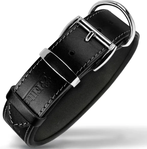 Miniatura 13 de Filbert Collar de cuero para perro, collar de cuero genuino para perros pequeños, estampado de patas en relieve con hebilla, grano completo curtido