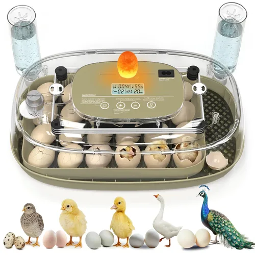 Incubadoras para incubar huevos, capacidad de 24 huevos con giro automático, control preciso de temperatura y humedad, vela de huevo, ventilación de