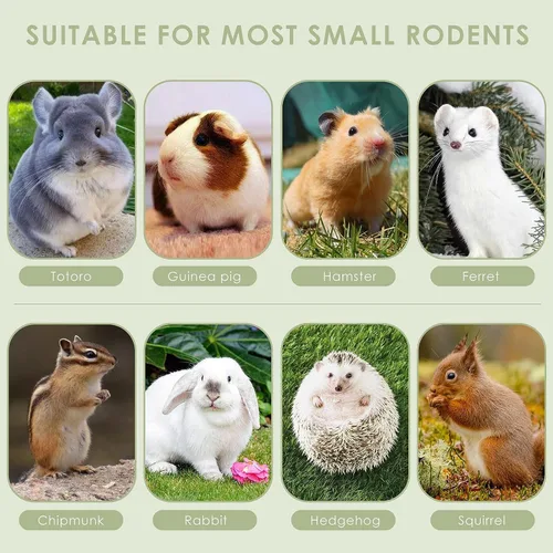 Miniatura 7 de ERKOON Timothy - Palitos de heno, juguetes masticables de conejo para dientes, palitos molares naturales, golosinas para conejitos, conejillos
