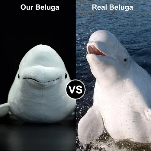 Miniatura 5 de Juguete de peluche de ballena beluga blanca de simulación – Juguete largo realista de delphinapterus leucas muñeca ballena juguetes de peluche súper