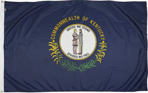 Miniatura 28 de FlagSource Bandera del estado de nailon de Iowa, fabricada en los Estados Unidos, 4 x 6 pies Iowa 4x6