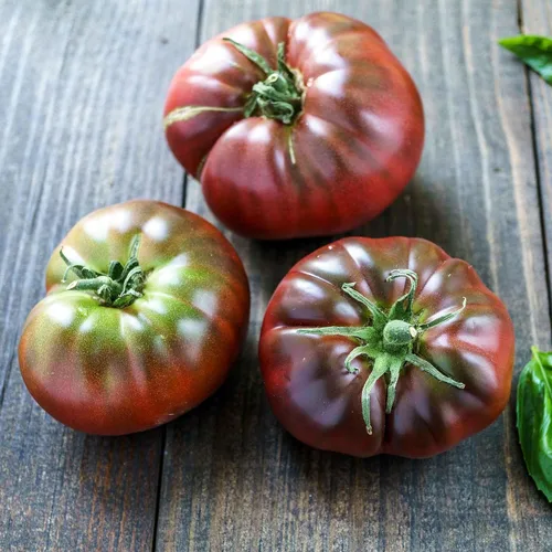 Miniatura 37 de Eden Brothers Semillas de tomate – Semillas de caqui sin OMG para plantar, paquete Semillas de vegetales de bajo mantenimiento, plantas durante