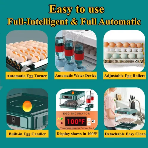 Miniatura 5 de Incubadora automática de huevos de 24 a 60 huevos Incubadoras inteligentes automáticas para incubar huevos, máquina de incubación de aves de corral