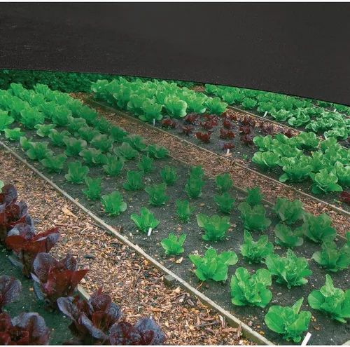 Miniatura 5 de Coolaroo - Tela de sombra para jardín con 30% de bloqueo UV para plantas - Tela de sombra transpirable y resistente a roturas para invernaderos
