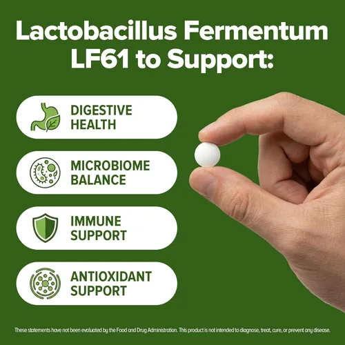 Miniatura 4 de Suplemento de probióticos Lactobacillus Fermentum 240 tabletas 3 mil millones de CFU de probióticos para hombres y mujeres, apoya la digestión