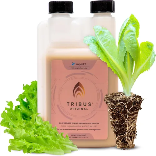 Miniatura 9 de Impello Biosciences Tribus Original, potenciador de floración a base de fósforo súper concentrado (1, 1 litro)