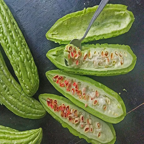 Miniatura 2 de 30 calabazas amargas, calabaza amarga, calabaza amarga, pepino amargo, karela, nigauri, goya, ku-gua, semillas de reliquia sin OMG, verduras