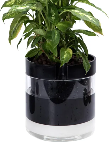 Miniatura 26 de Maceta Phoenix Vine de 6 Pulgadas con Riego Automático, Maceta de Arcilla Terracota con Reservario de Vidrio para Plantas de Interior, Hierbas