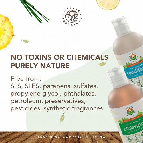 Miniatura 7 de Nature Sustained Champú y acondicionador para piel pura y sensible, fórmula vegetal probiótica cruda (pH equilibrado) para piel sensible y cabello