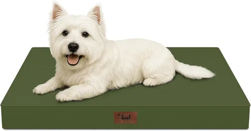 Miniatura 69 de Cama ortopédica de felpa para perros y cachorros medianos, camas impermeables para perros de 30 x 20 pulgadas con funda extraíble lavable, tapete