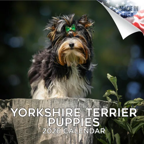 Miniatura 178 de Calendario de Rat Terrier 2025 2026 – Calendario mensual de pared de raza de perro – 12" x 24" abierto – Papel grueso que no se corre – Para regalo