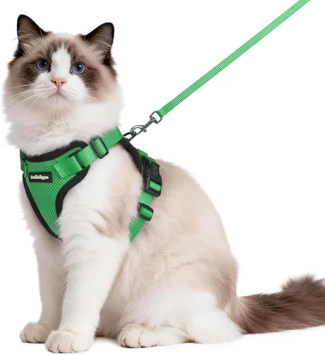 Miniatura 11 de rabbitgoo Juego de arnés y correa para gatos, arnés a prueba de escapes para paseos seguros al aire libre, chaleco suave transpirable ajustable