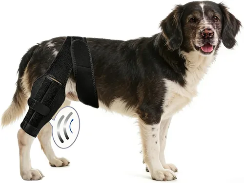 Dog Hind Leg Support Brace for Dogs with Adjustable Rear Leg Strap Made of Breathable Neoprene for Senior Dogs Active Dogs and Daily Comfort Small