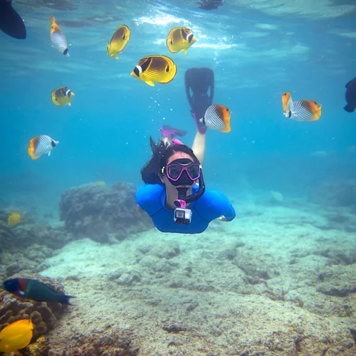 Miniatura 8 de U.S. Divers Cozumel - Juego de esnórquel Máscara de esnórquel para adultos, esnórquel, aletas y bolsa de viaje.