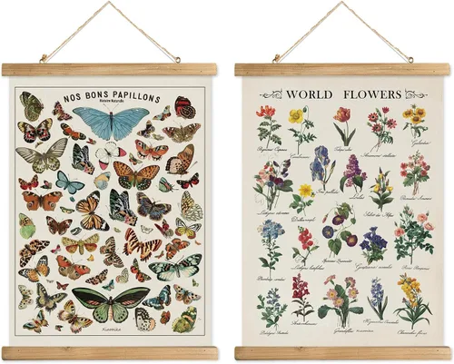 Miniatura 23 de XIAOAIKA Póster Educativo de Vida Silvestre de Seto Británico - Cuadro Ilustrado de la Naturaleza con Marco de Madera - Arte de Pared de Animales