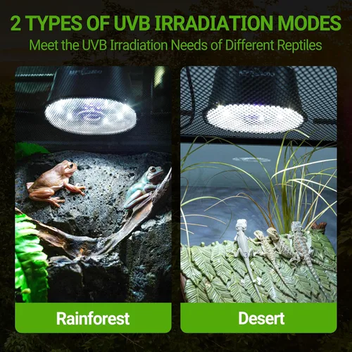 Miniatura 4 de REPTI ZOO Luz UVB para Reptiles con Atenuación, Bombilla LED UVB con Soporte para Dragón Barbudo Gecko Lagarto Tortuga Serpiente, Luminosidad