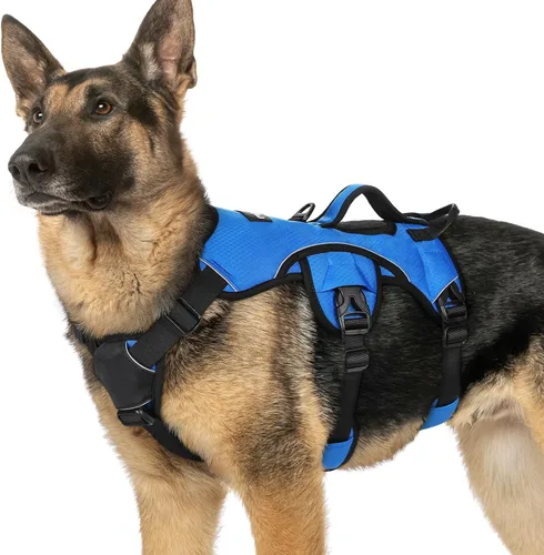Miniatura 18 de rabbitgoo - Arnés para perro a prueba de fugas, arnés para mascotas acolchado suave de cuerpo completo, chaleco reflectante ajustable sin tirones