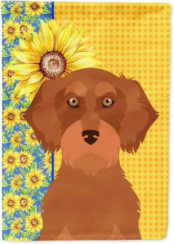 Miniatura 352 de Caroline's Treasures WDK5331CHF - Bandera de verano con diseño de girasoles rojos y blancos, manga grande, para porche, para colgar en la pared
