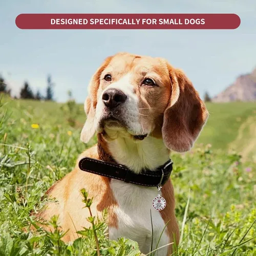 Miniatura 5 de Etiqueta de perro de apoyo emocional, etiqueta de identificación de metal para mascotas, etiqueta ESA, símbolo de alerta médica roja de doble cara