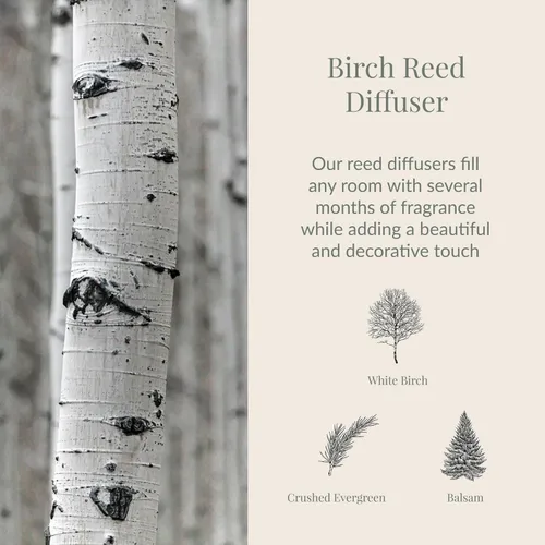 Miniatura 2 de Archipelago Botanicals Difusor de caña de abedul Incluye aceite de fragancia, tapa de madera decorativa y 10 varillas difusoras Perfecto