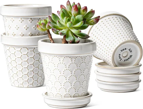 Miniatura 9 de LE TAUCI Macetas de cerámica para suculentas, maceta pequeña de 4 pulgadas para planta de interior cactus, macetas con flores en relieve