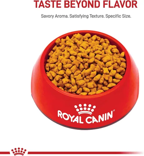 Miniatura 7 de Royal Canin Feline Health Nutrition Alimento Seco para Gatitos Esterilizados/Castrados, Bolsa de 2.5 libras