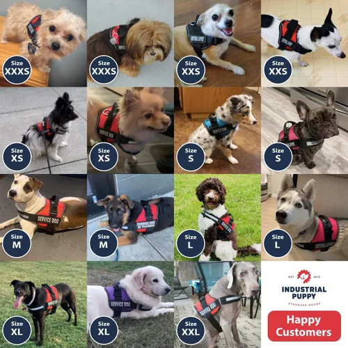 Miniatura 7 de Industrial Puppy Arnés de chaleco de apoyo emocional, chaleco duradero y ajustable para perro con correas reflectantes, parches extraíbles, asa