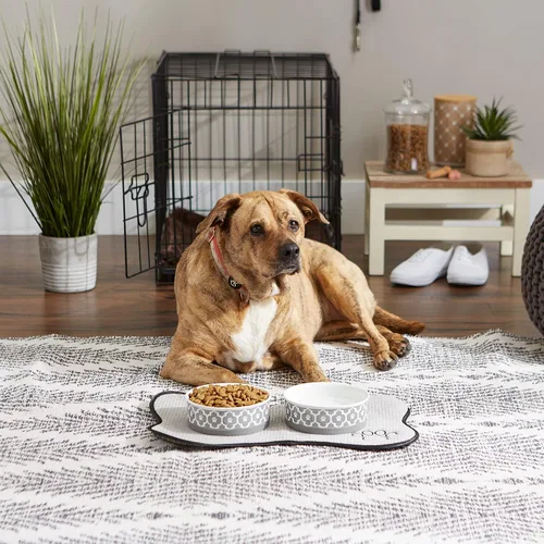 Miniatura 8 de Taza para mascotas Bone Dry con diseño de pata en cerámica, colección Lattice, juego mediano, 6x2 pulgadas, gris, 2