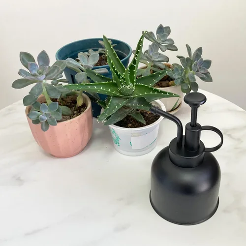 Miniatura 4 de Pulverizador de plantas de acero inoxidable, regadera pequeña, herramienta de jardinería moderna para plantas en macetas de interior negro