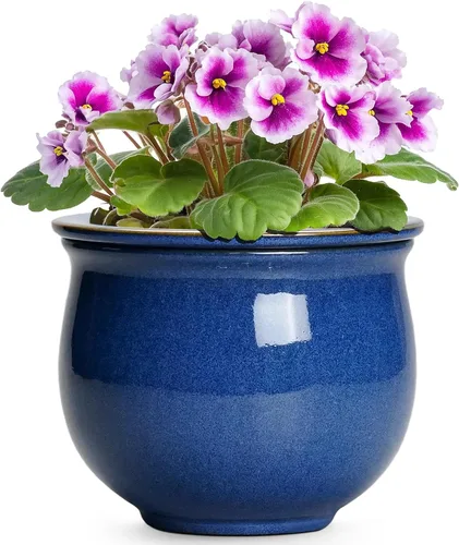 Miniatura 16 de Macetas de riego automático de 6 pulgadas para plantas de interior, macetas de cerámica violeta africana con maceta interior absorbente, maceta