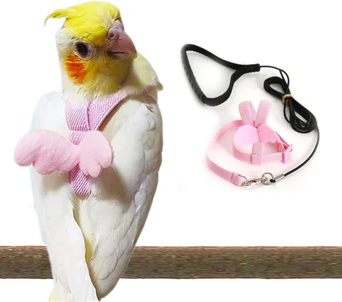 Miniatura 4 de Arnés de loro ajustable para pájaros, correa de cuerda voladora, cuerda de tracción de entrenamiento al aire libre para loros pequeños