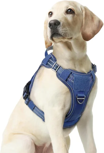 Miniatura 53 de rabbitgoo - Arnés para perros pequeño sin tirones, chaleco táctico de servicio con Molle y asa de control, arnés militar ajustable y reflectante