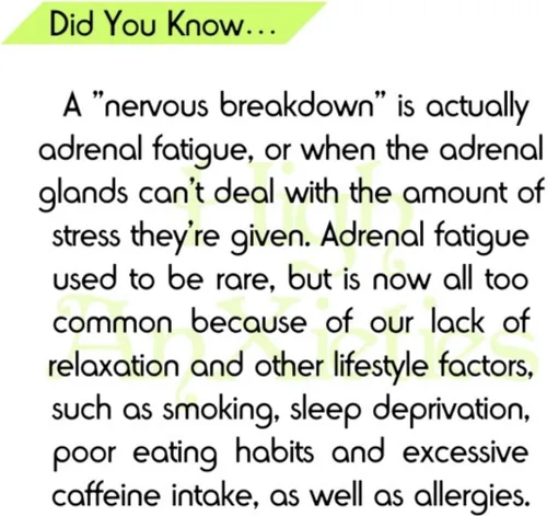 Miniatura 7 de Miracle Adrenal Essence Doctor's Choice - Suplemento adratogénico de hierbas y vitaminas