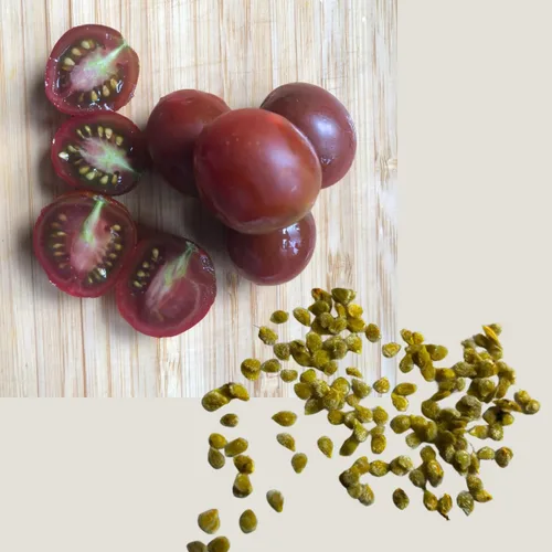 Miniatura 2 de Dot's Little Yellow Tomate Seeds (Solanum lycopersicum) 150 Semillas (0.02 oz)