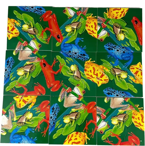 Miniatura 4 de Scramble Squares Frogs - Rompecabezas desafiante de 9 piezas, juego mental y juego mental para jóvenes y mayores por igual, atractivo y creativo