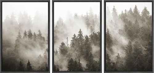 Miniatura 77 de SIGNWIN Lienzo enmarcado para pared, juego de arte nublado de tormenta, cielo, bosque otoñal, árboles, rústico, naturaleza, fotografía, realismo